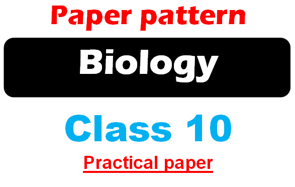 10th class biology practical paper pattern