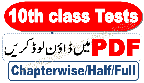 chapter-wise, half-book and full book tests for 10th class