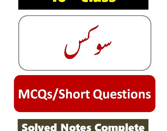 10th class civics Notes in Urdu pdf download