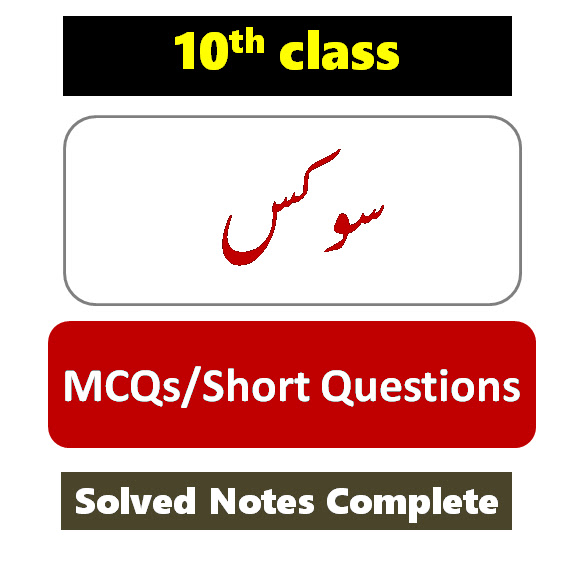 10th class civics Notes in Urdu pdf download