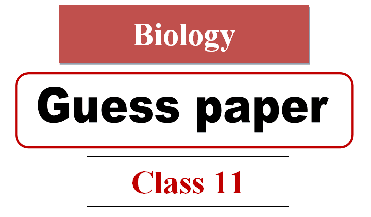 1st year biology guess 2025 pdf download