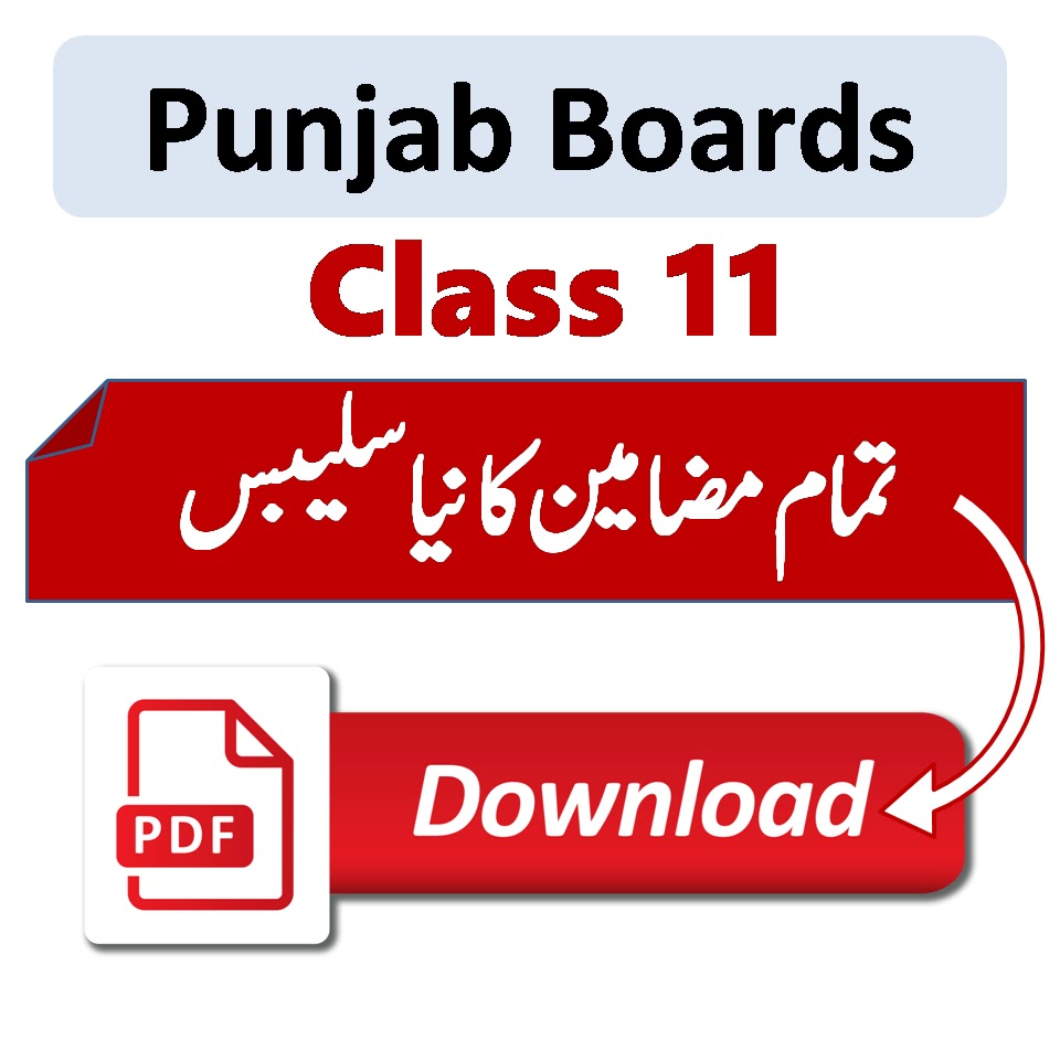 1st year new syllabus 2025 Punjab board