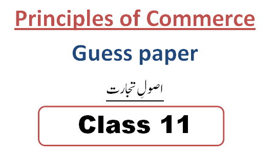 1st year Principles of Commerce Guess paper 2025