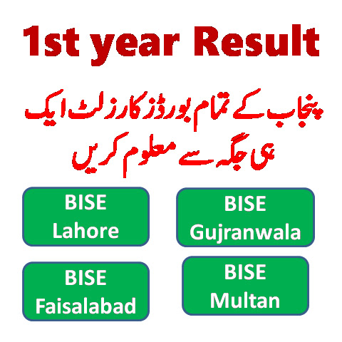 1st year result 2023 all Punjab board check online