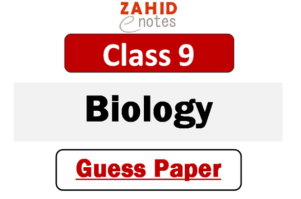 9th class biology guess paper 2025 pdf download
