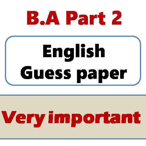BA part 2 English guess paper 2025 PU