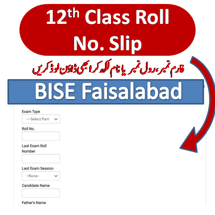 2nd year roll number slip 2023 Faisalabad Board