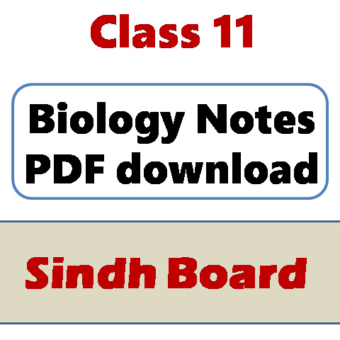 Biology notes Class 11 Sindh Board KPDF download