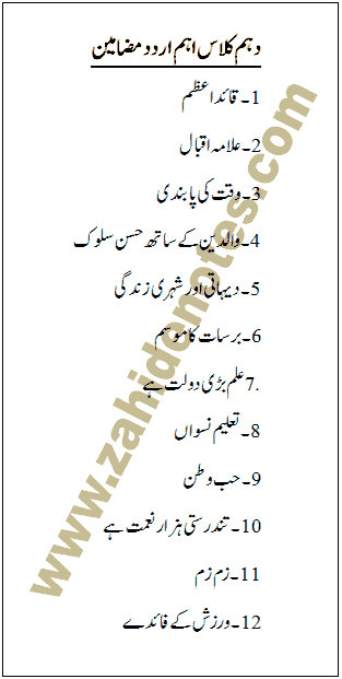 important Urdu essays for class 10 2025