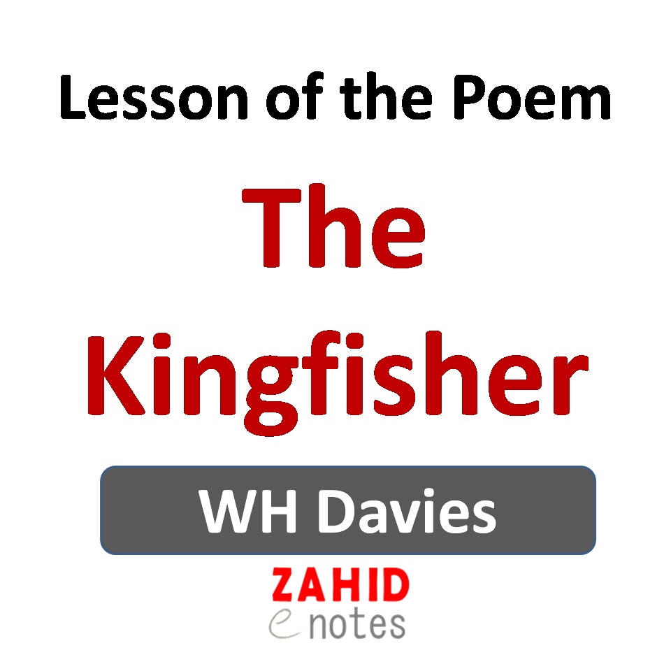 Lesson of the poem The Kingfisher